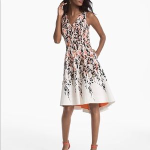 Beautiful WHBM Dress